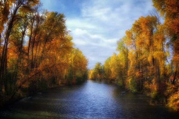 Autumn forest and calm river