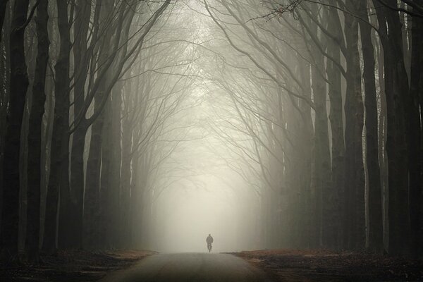 El hombre en el misterioso bosque de invierno