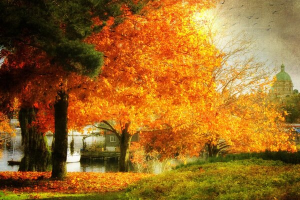 Paisaje hermoso otoño triste: los árboles, la superficie del agua, la hierba