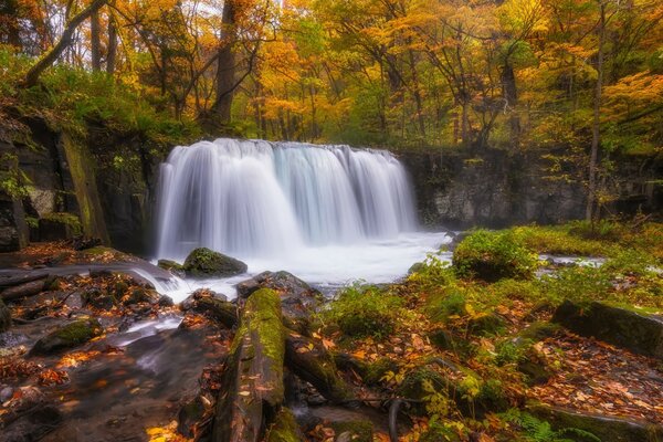 Autumn forest waterfall stones