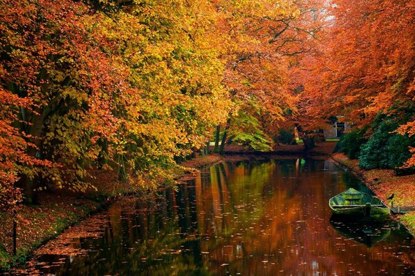 Feuille de bois dans l étang d automne