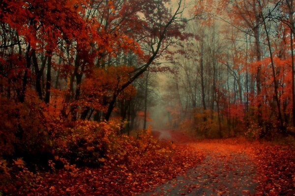 Rotes Laub. Herbstliche Landschaft