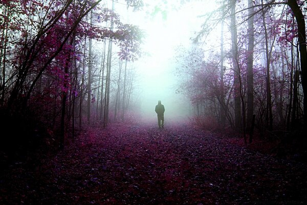 A lonely man in autumn in the fog