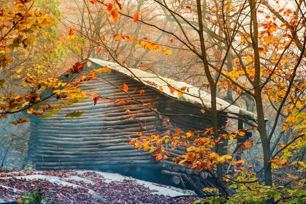 Erster Schnee und ein Haus im Wald