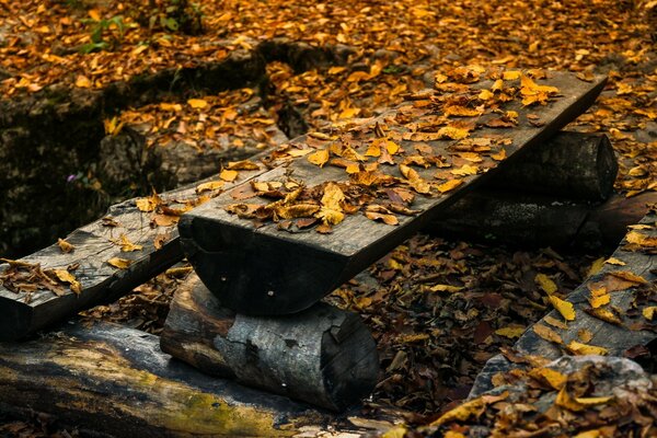 Wooden benches and a table are strewn with leaves