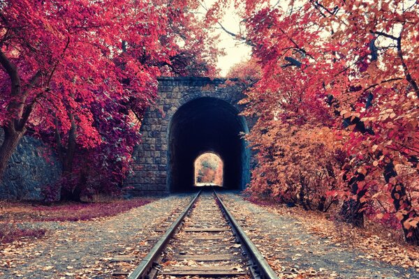 Tunnel ferroviaire dans la forêt d automne