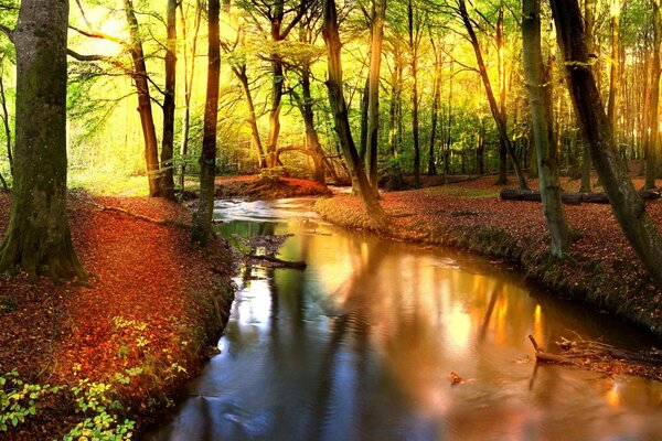 Beeindruckende Herbstlandschaft