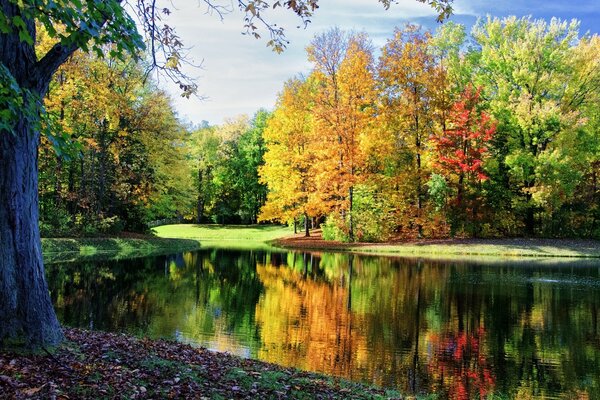 Herbstlicher Wald in der Reflexion eines ruhigen Sees