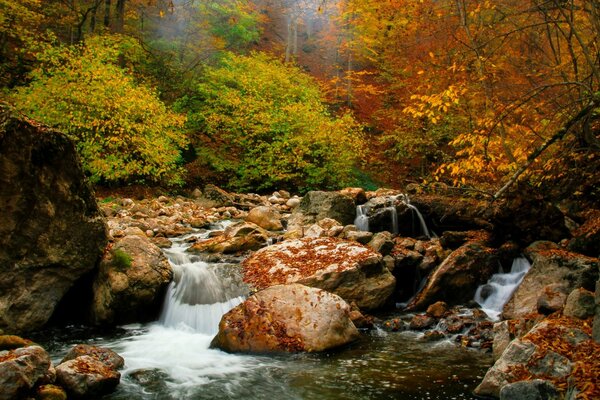 Ein kleiner Wasserfall zwischen Steinen und gelbgrünen Blättern von Bäumen im Herbstwald