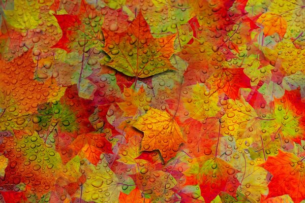 Surface peinte avec des feuilles d automne dans des gouttes d eau