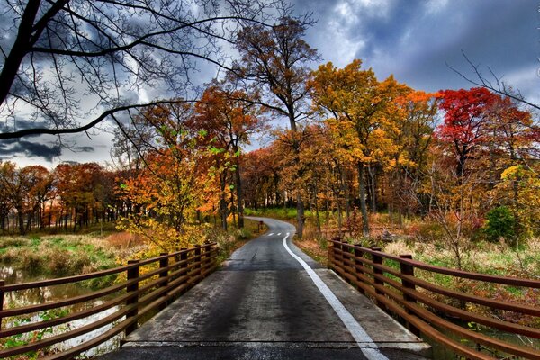 Herbstlandschaft Straße unter Bäumen