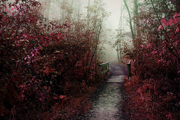 Naked trees behind purple bushes