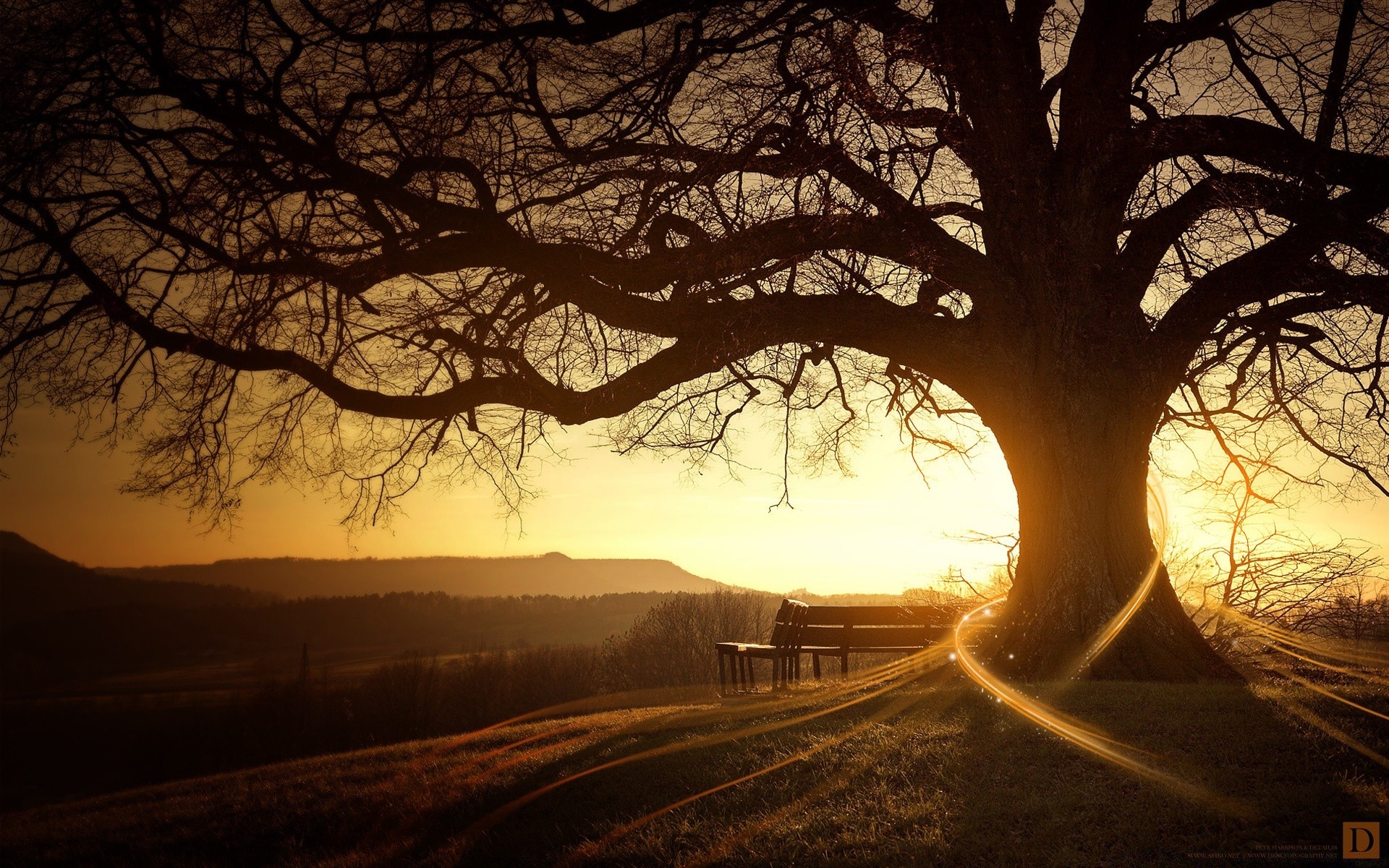 otoño árbol paisaje amanecer otoño luz noche puesta de sol madera iluminado invierno niebla sombra rama sol naturaleza parque crepúsculo silueta carretera