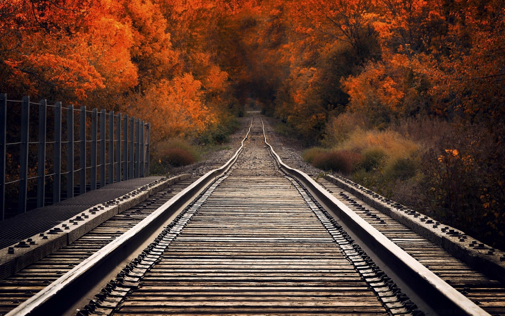 autunno ferrovia treno pista sistema di trasporto viaggi guida strada luce prospettiva motore all aperto veloce luce del giorno linea ferro