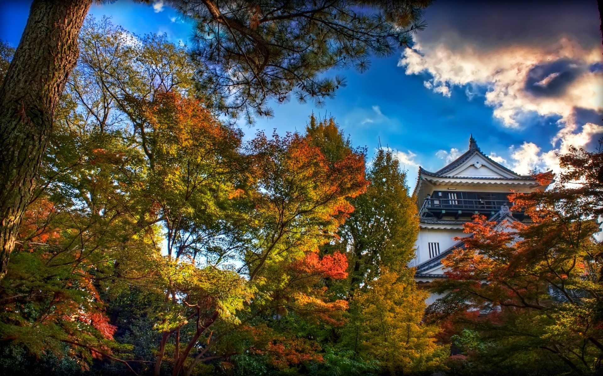 Замок белой Цапли в Японии