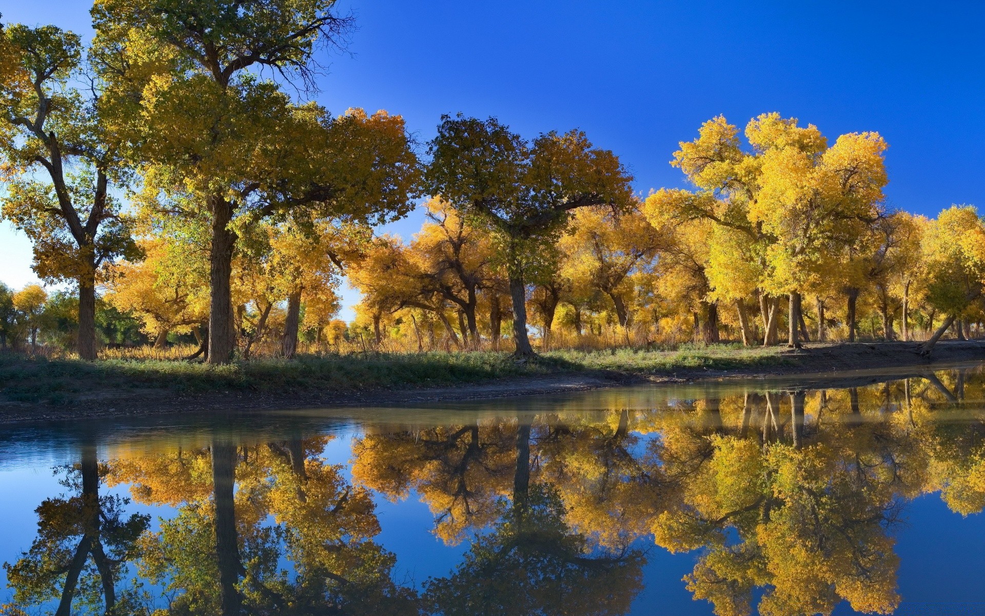 herbst baum reflexion herbst landschaft natur see park blatt saison wasser holz landschaftlich fluss schwimmbad himmel landschaft farbe medium hell szene