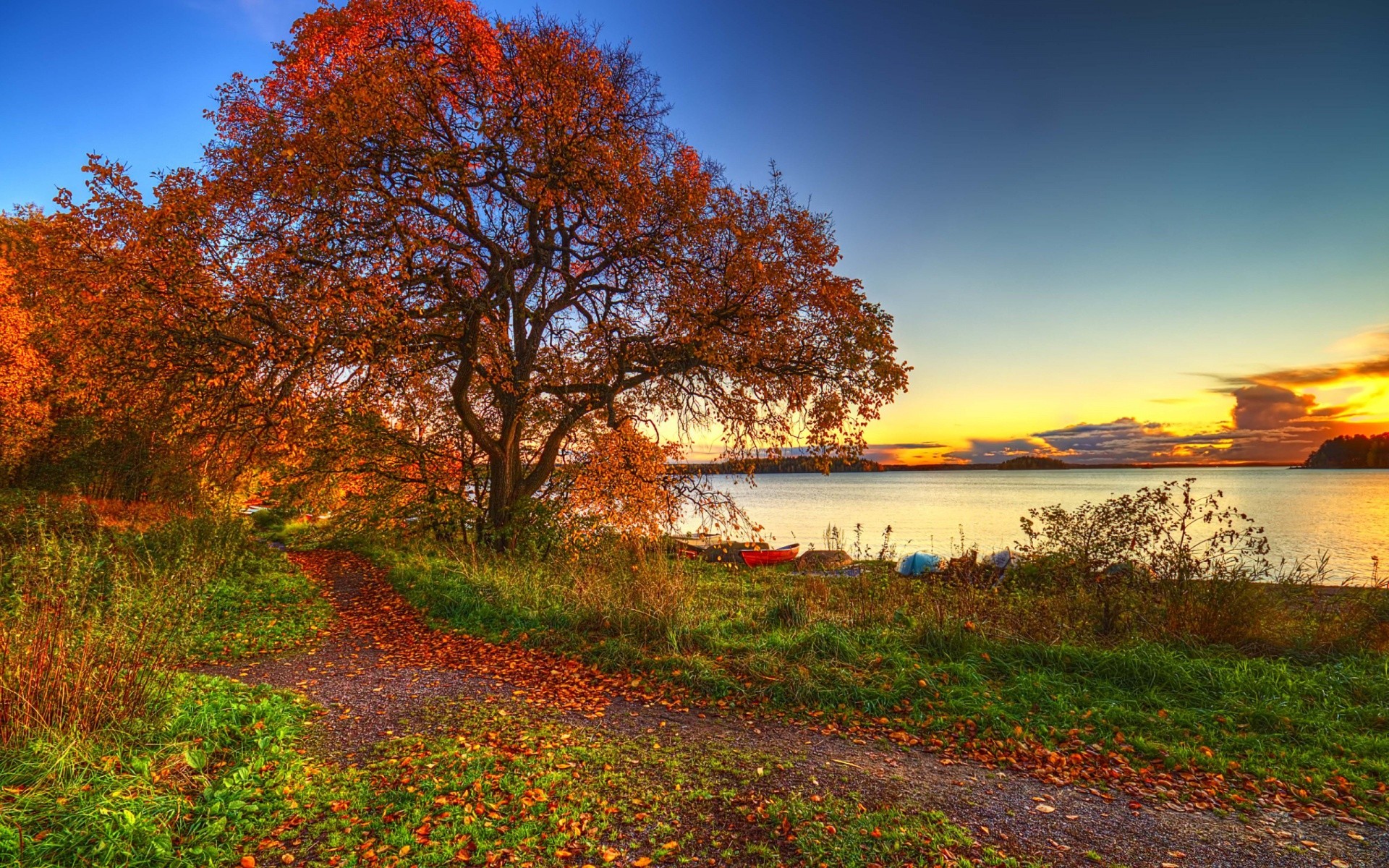 autunno paesaggio autunno natura albero foglia all aperto stagione scenic parco legno campagna erba cielo rurale lago