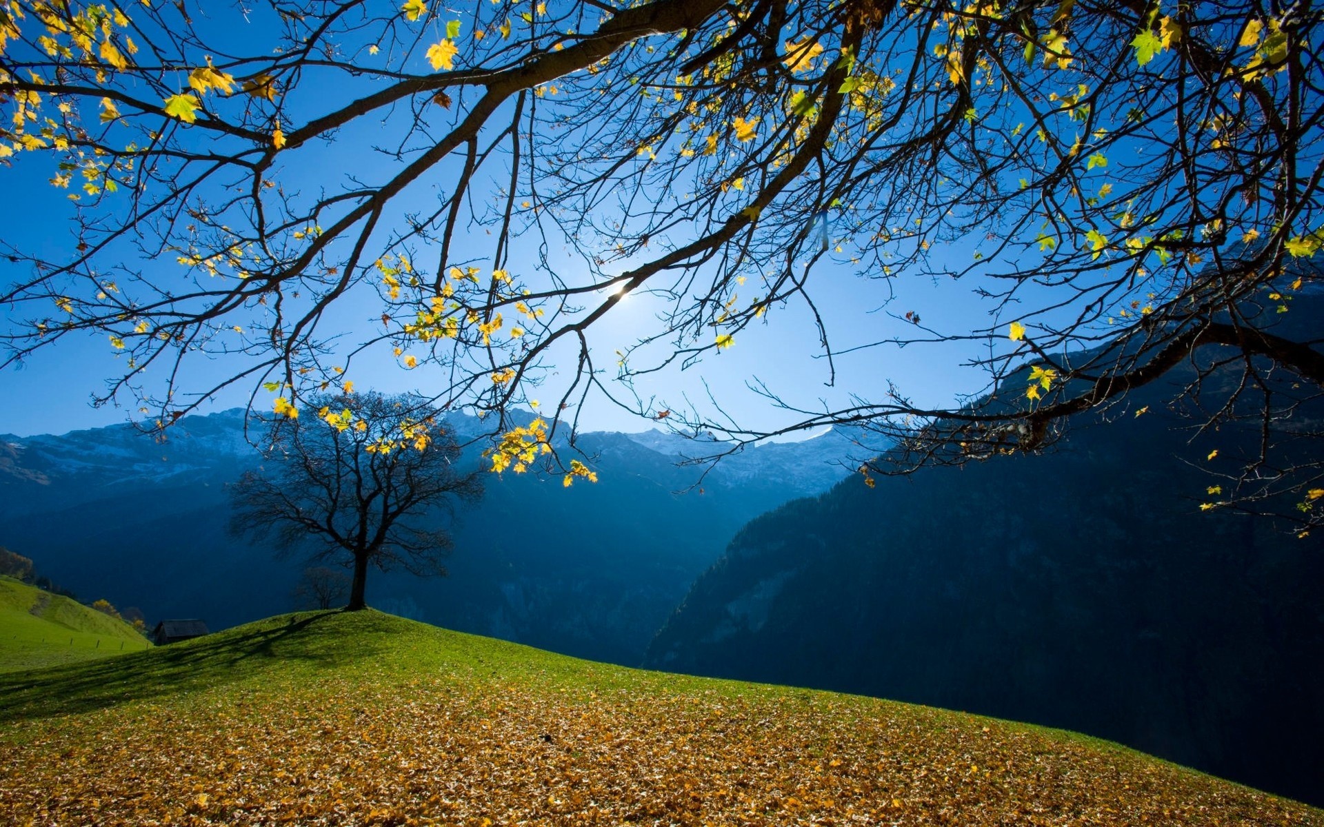 autumn tree landscape scenic nature outdoors water sky daylight dawn lake fall branch travel wood leaf fair weather season