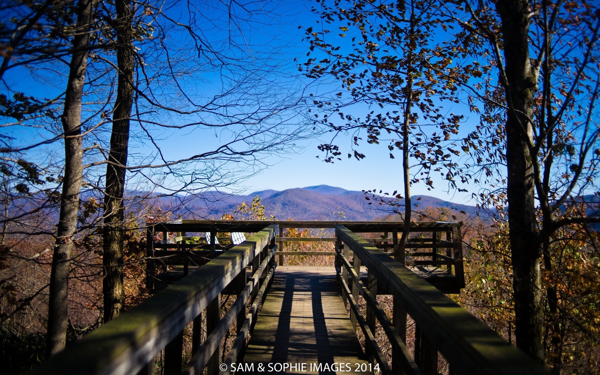 herbst holz holz landschaft im freien natur park führung landschaftlich reisen herbst wasser himmel blatt licht tageslicht