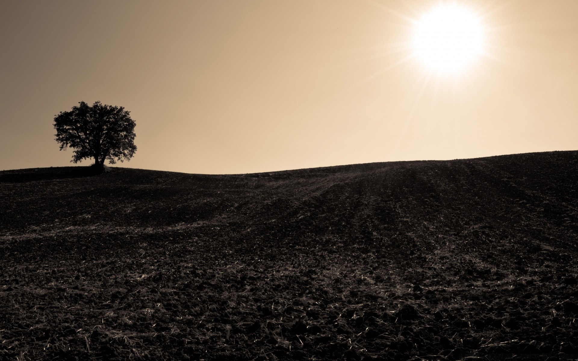 autumn landscape sunset sun sky dawn light evening nature desert moon tree fog dusk fair weather backlit beach shadow travel