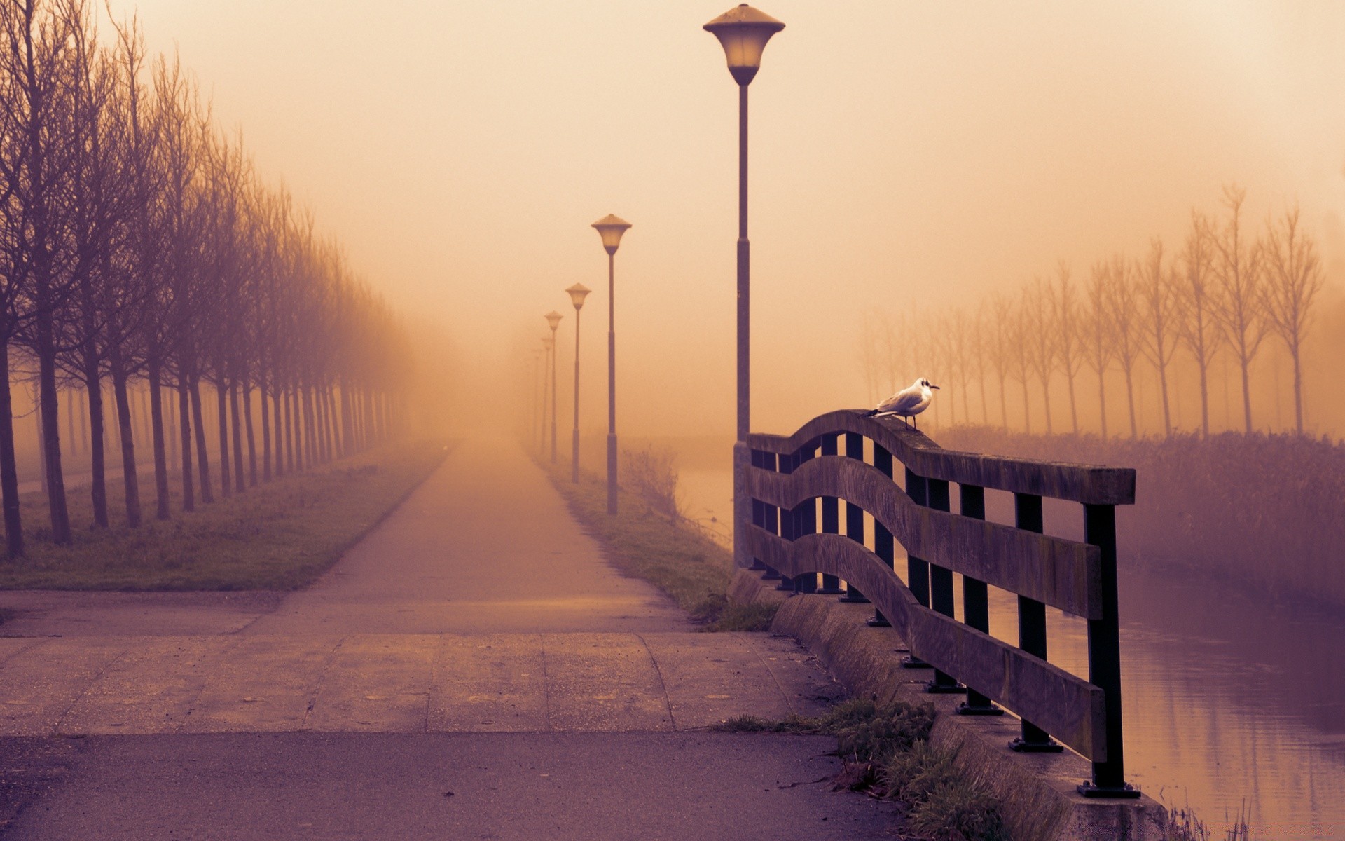 autumn dawn fog sunset winter mist dusk evening outdoors weather light sky sun snow landscape water