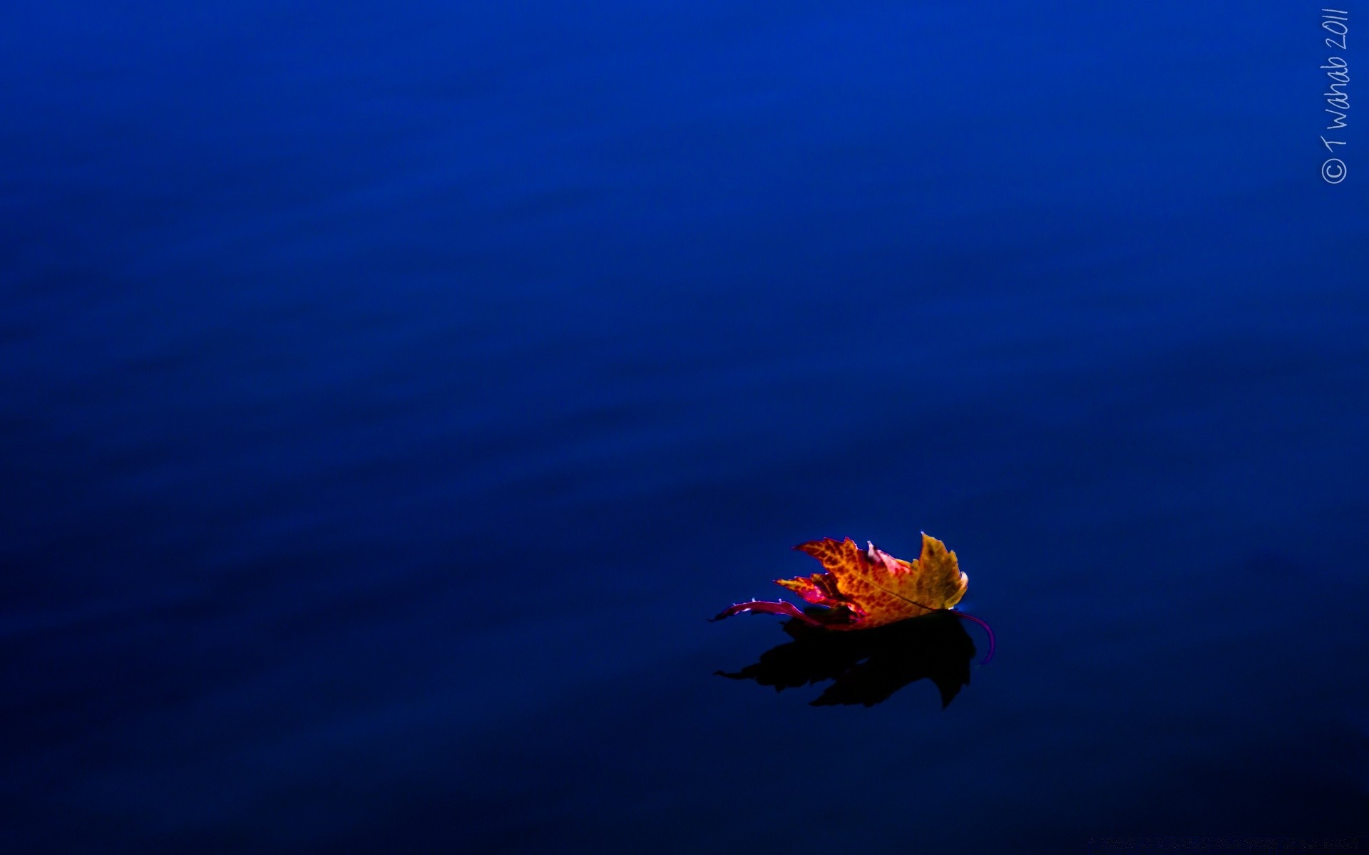 herbst wasser ozean mond unterwasser am abend dunkel meer im freien licht natur