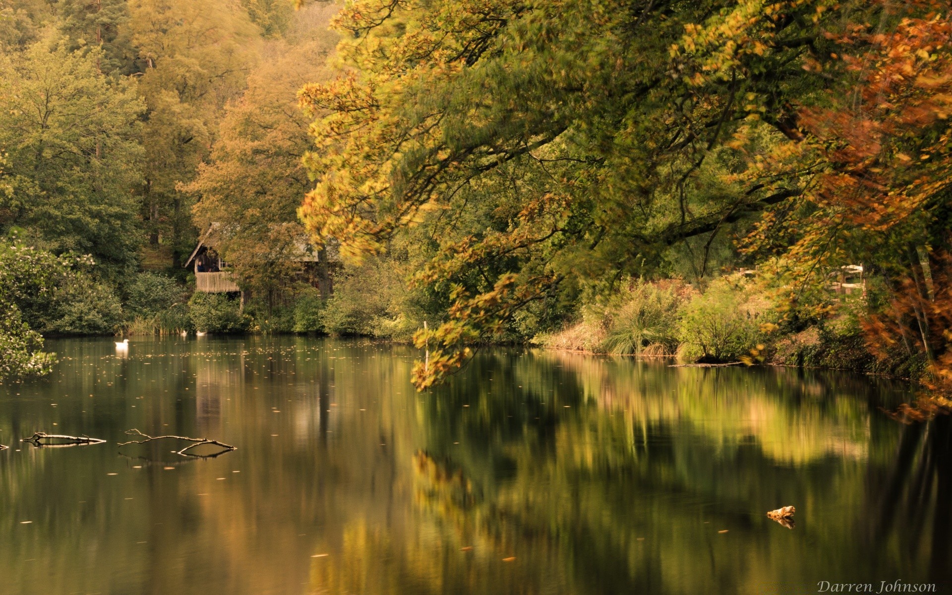 herbst herbst natur wasser holz holz see blatt im freien landschaft fluss reflexion gelassenheit park landschaftlich pool plesid