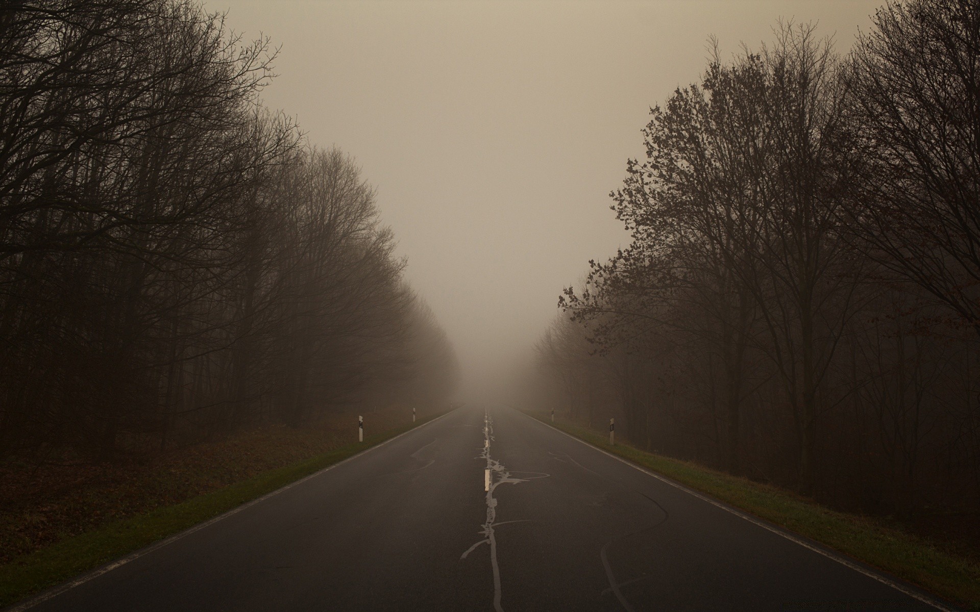 autunno strada nebbia paesaggio albero inverno nebbia alba neve manuale meteo autunno legno luce strada campagna all aperto