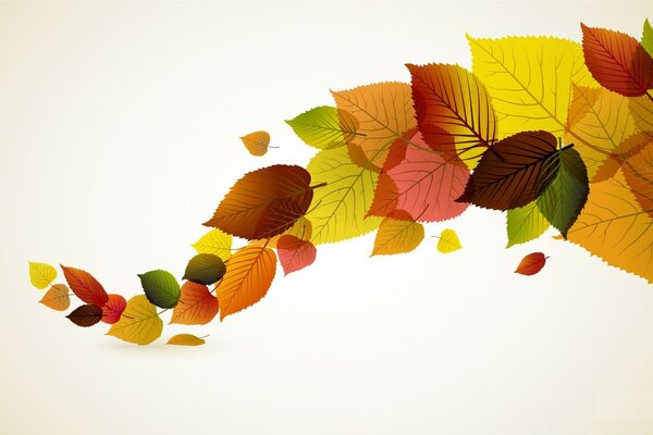 Autumn leaves on a white background