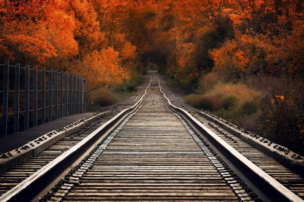 Blick von der Eisenbahnbrücke im Herbst