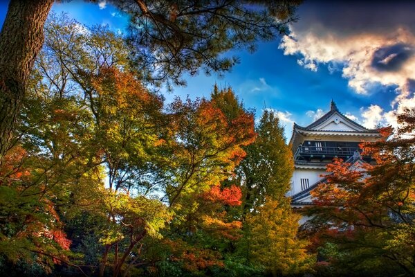 Motivos japoneses, paisaje de otoño