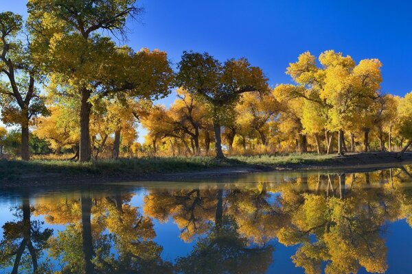 Paesaggio autunnale. Vicolo vicino al lago