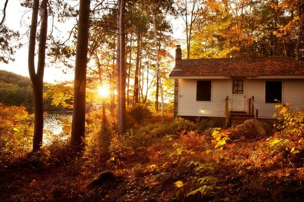 A small house on the shore of the lake