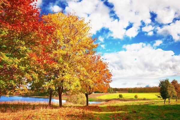 Ciel bleu. Paysage d automne