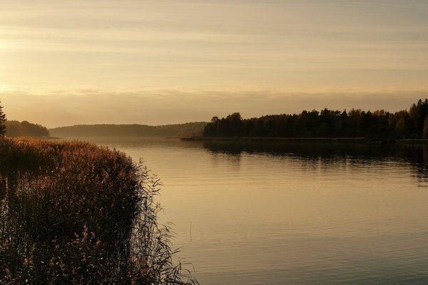 Morgendämmerung am See mit Dunst