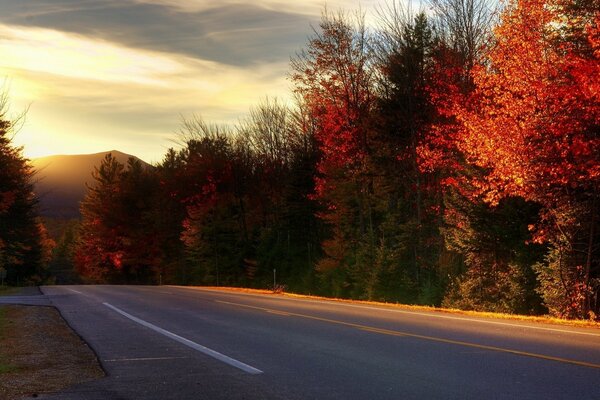 The road through the autumn forest at sunrise