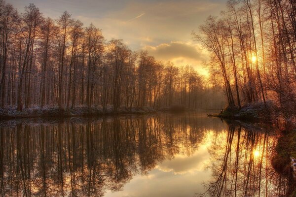 Dämmerung über einem nebligen Waldsee