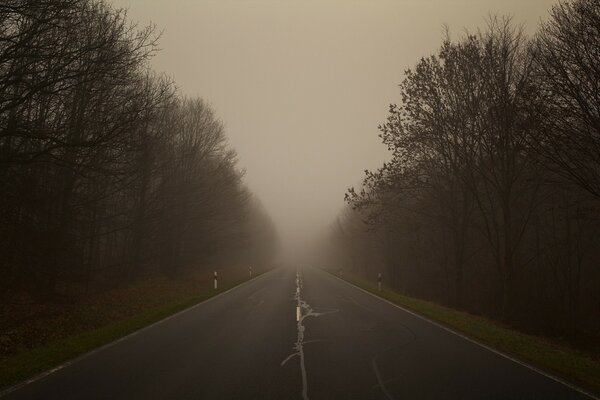 Paisaje otoño carretera niebla