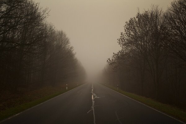 Пейзаж осень дорога туман