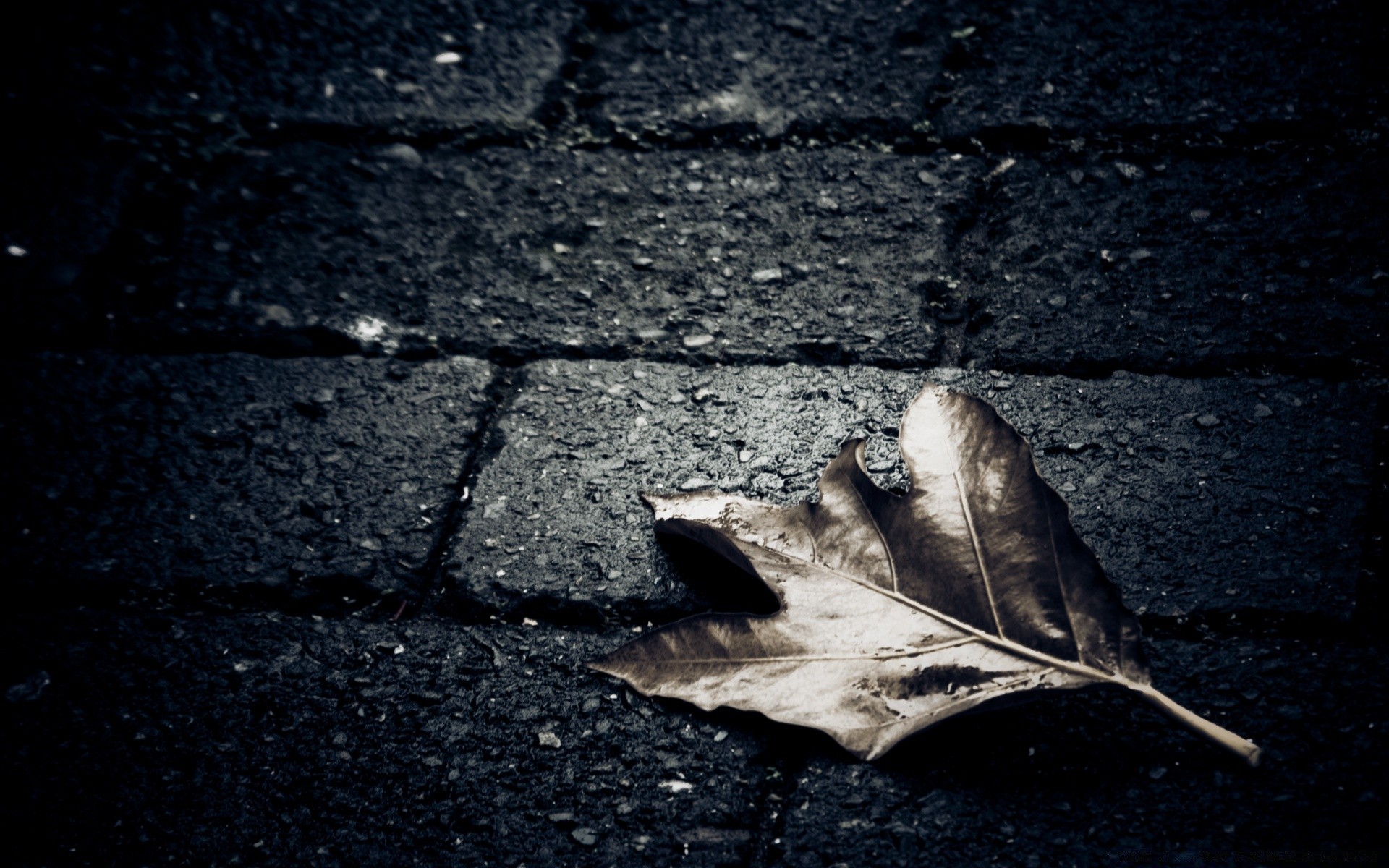 autumn pavement dark stone dirty texture street old rough desktop wall