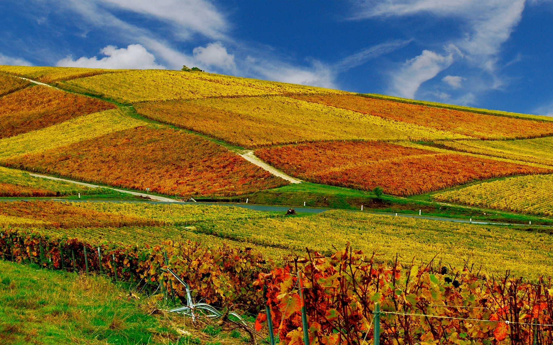 otoño agricultura rural paisaje naturaleza campo campo granja tierras cultivadas pasto al aire libre cielo crecimiento otoño tierras de cultivo hierba verano cosecha árbol país