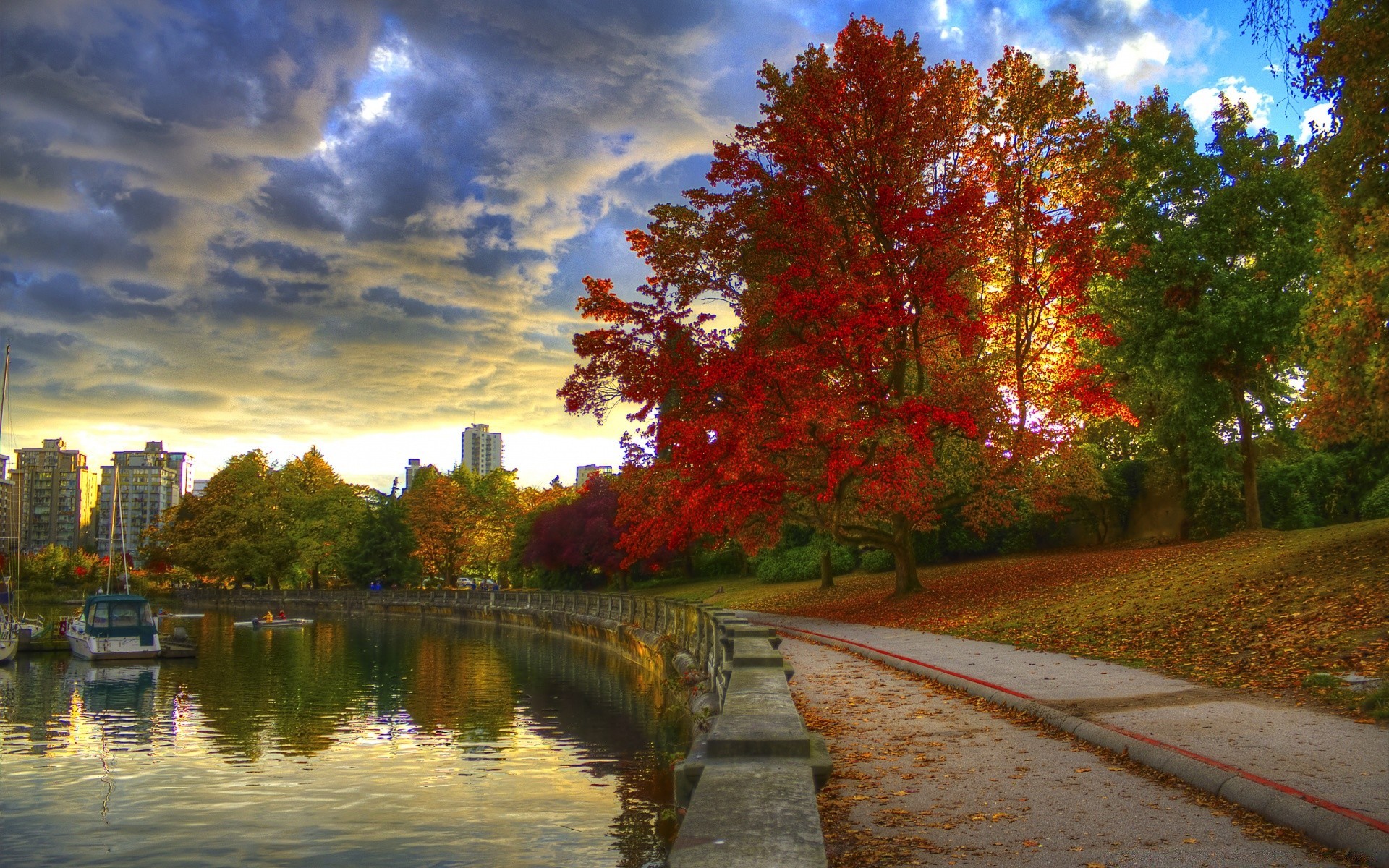 autumn tree fall landscape nature park outdoors leaf wood lake sky river dawn scenic season reflection road