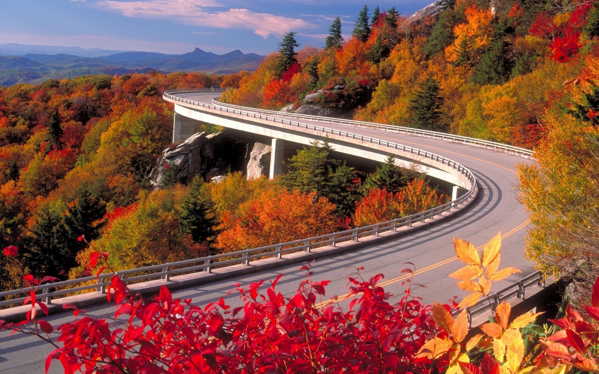 herbst transportsystem straße im freien herbst reisen natur baum autobahn landschaft auto handbuch