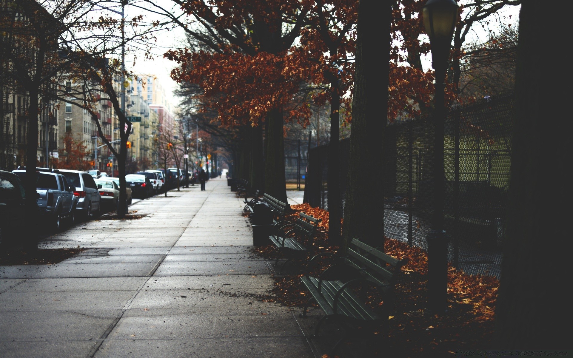 autunno strada strada città luce viaggi urbano autunno