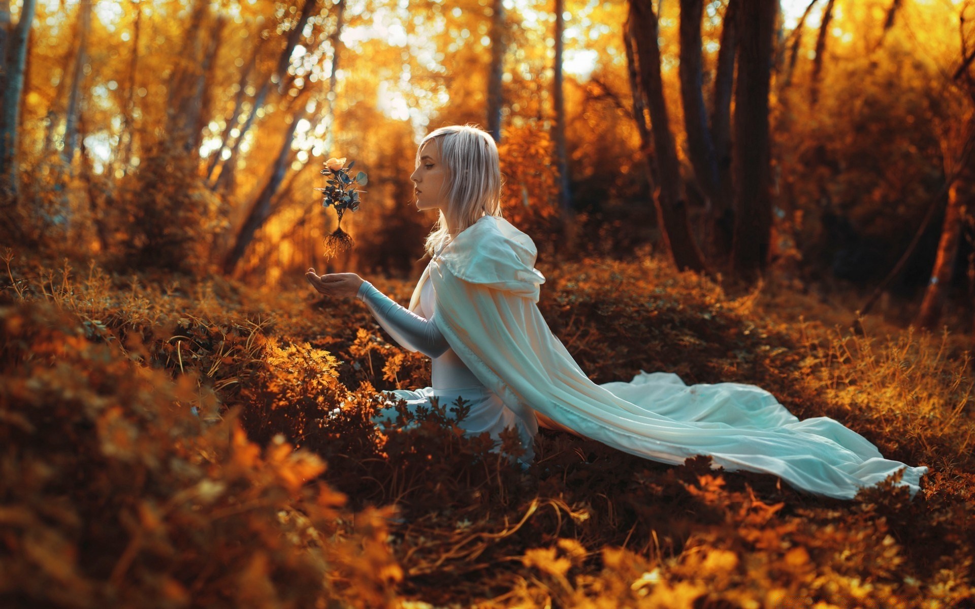 otoño otoño madera al aire libre hoja solo naturaleza árbol buen tiempo parque niña luz del día adulto iluminado oro paisaje ocio mujer luz sol