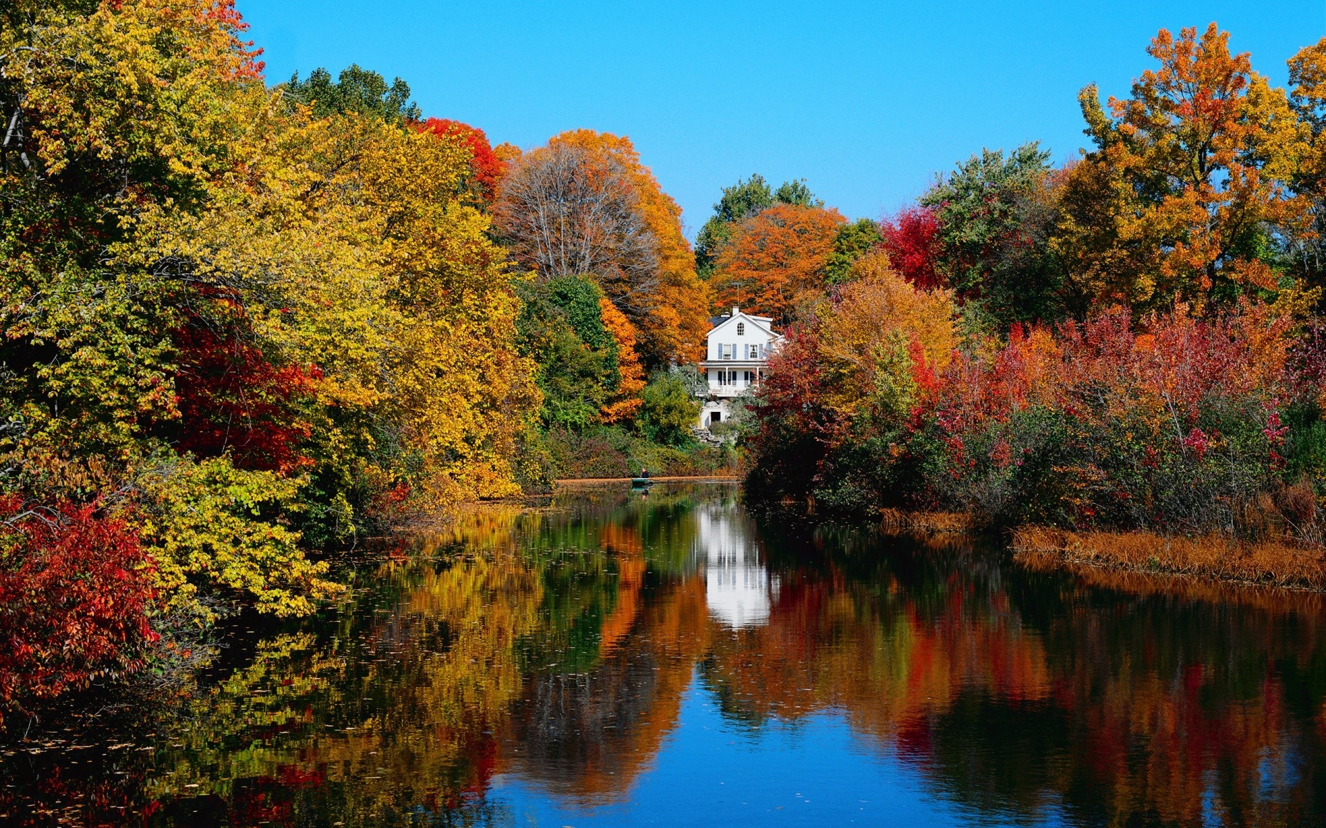 automne automne arbre feuille lac à l extérieur eau nature paysage érable bois rivière parc scénique saison réflexion