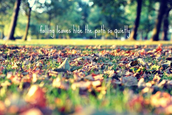 Falling leaves hide the way so quietly