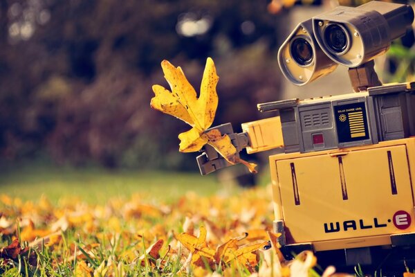 O Robô WALL-E segura na mão uma folha amarela