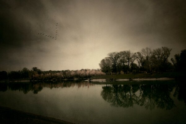 Landscape with the reflection of trees in the water