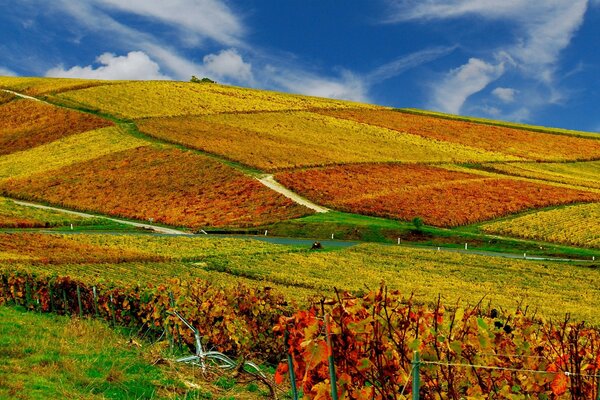 Helle Landschaft der Herbstfelder